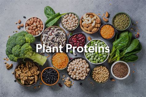 proteins .